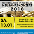Neujahrskonzert