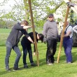 Ein Maibaum für Christian