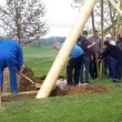 Ein Maibaum für Christian