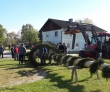 Maibaum für Manfred Ortner