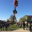 Maibaum für Manfred Ortner