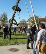 Maibaum für Manfred Ortner