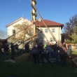 Maibaum für Manfred Ortner