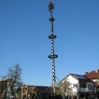 Maibaum für Manfred Ortner