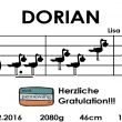 Storchaufstellen für Dorian Linus