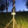 Maibaum für Monika Hochfellner