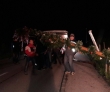 Maibaum für Monika Hochfellner