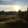 Maiblasen