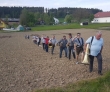 Maiblasen