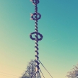 Maibaum für Manfred Ortner, 29.04.2016